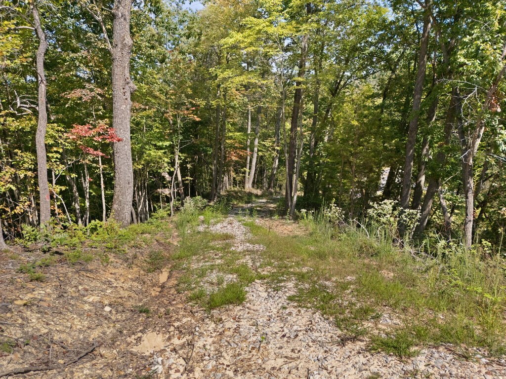 Picture 17