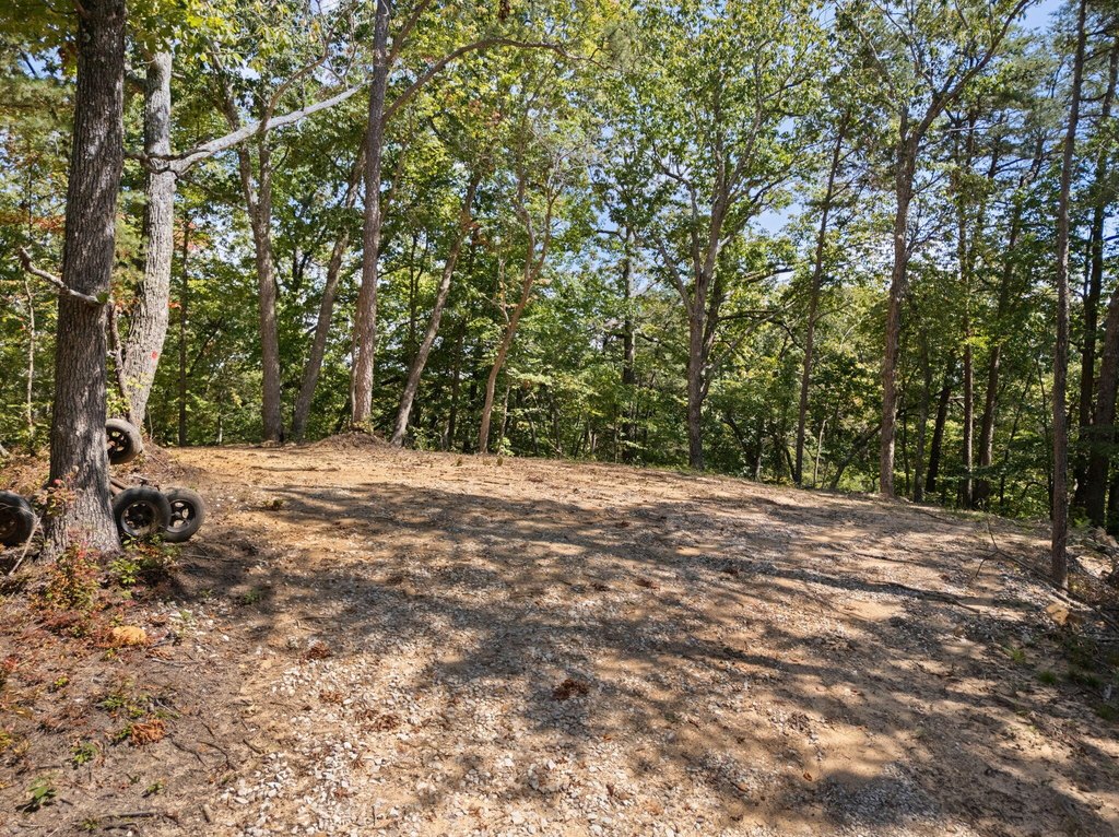 Picture 27