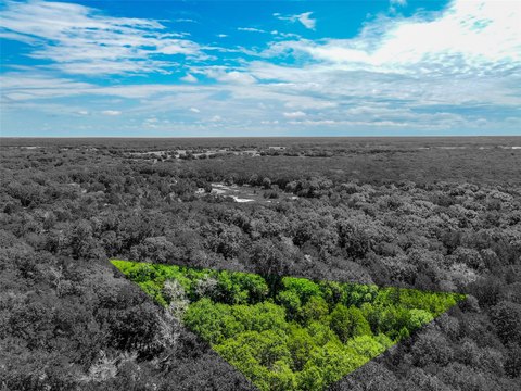 Greenville Wooded Lot For Sale