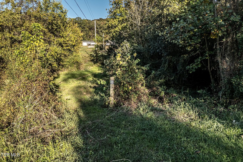 Picture 12