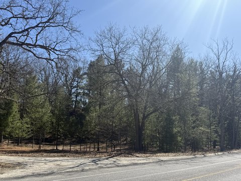 Pentwater Wooded Land Parcel