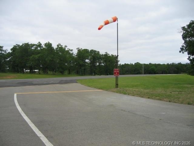 Picture 4