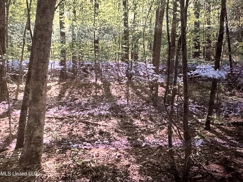 Residential Land in Florence, MS