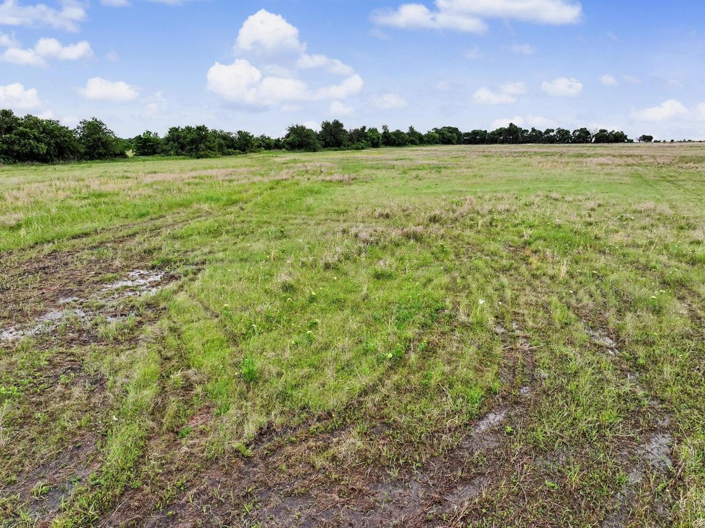 Picture 22