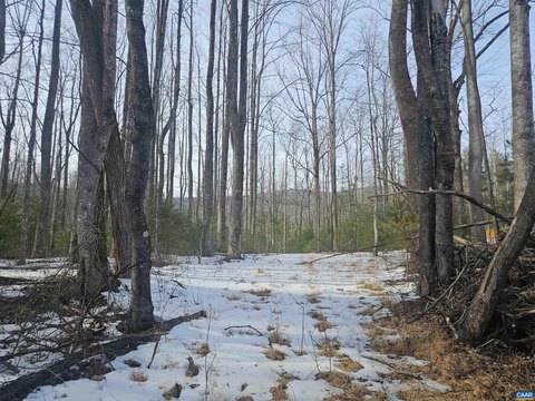 Two Acres in Stanardsville, VA