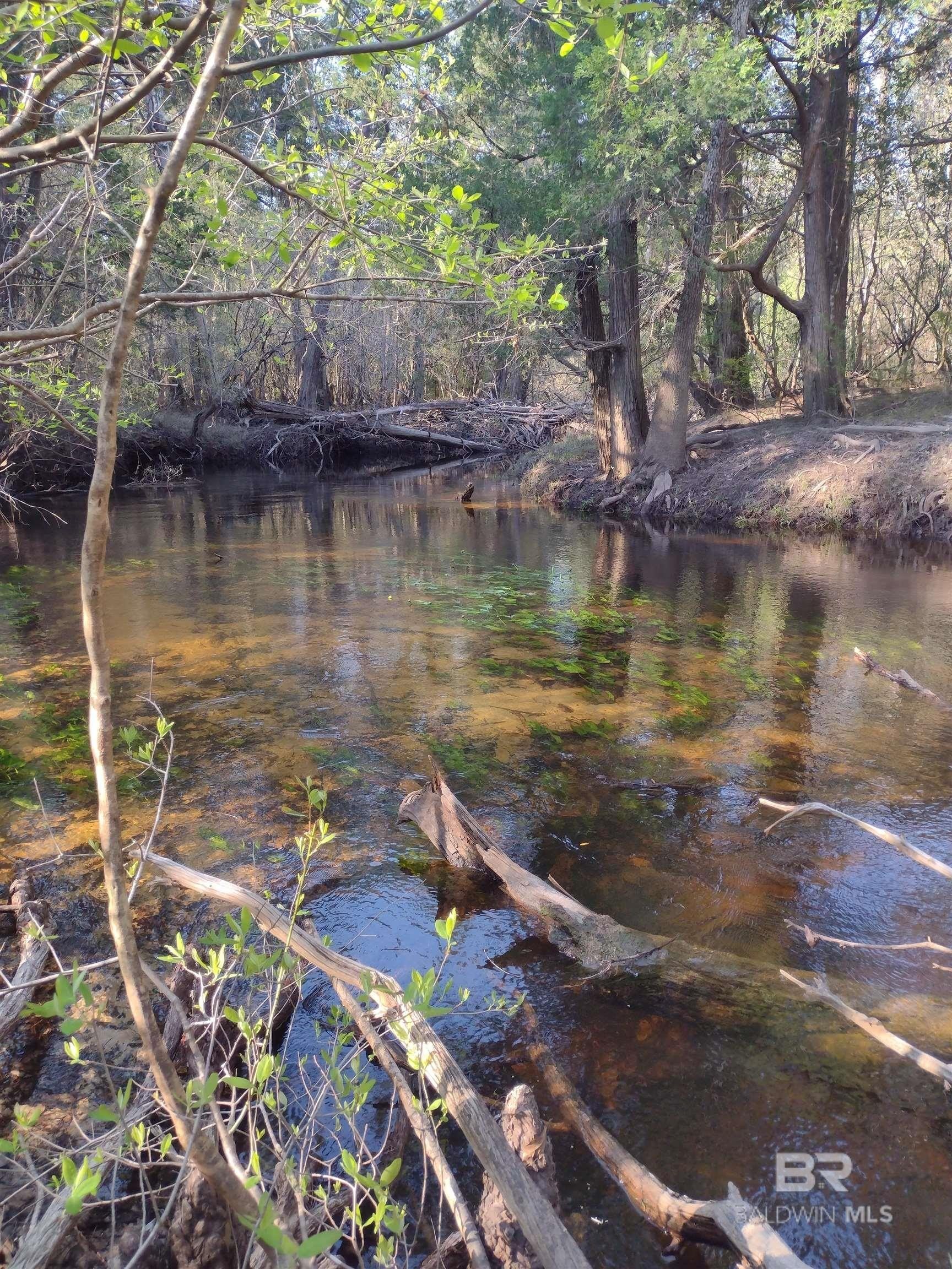 Land - Bay Minette, AL