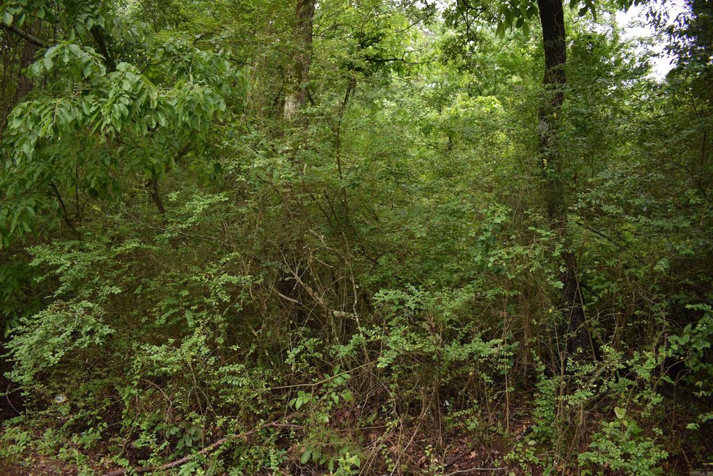 Picture 19
