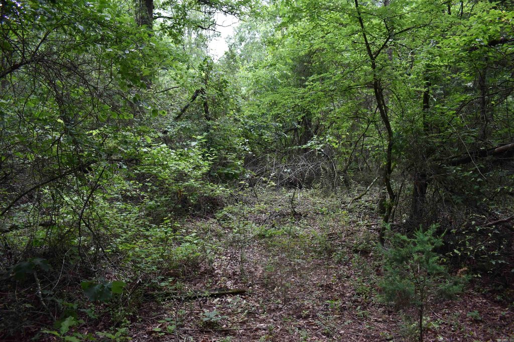 Picture 31