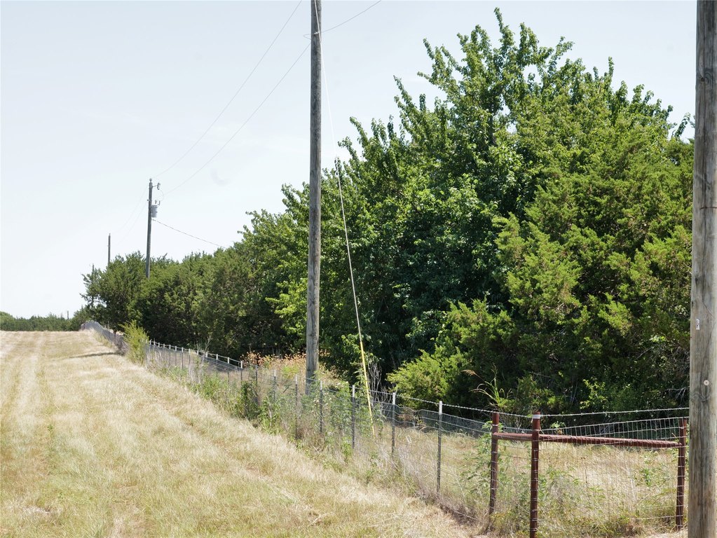 Picture 16