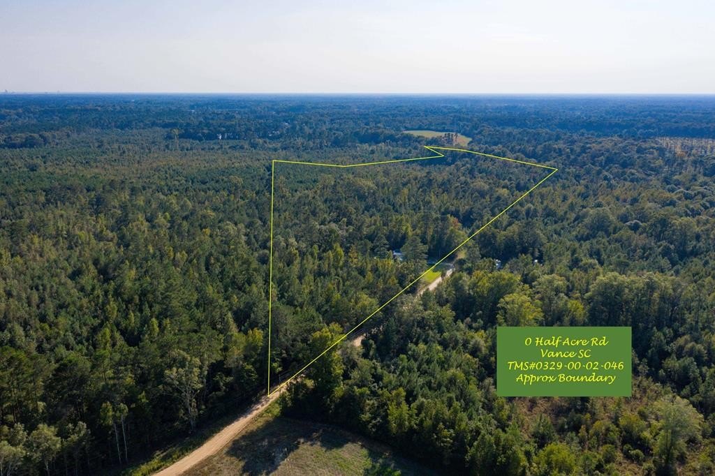 Wooded Acreage Near Lake Marion