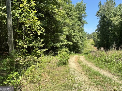 Danielsville Wooded Land For Sale