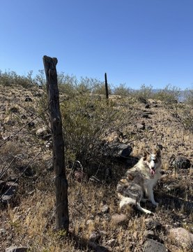 Vacant Land, Eden, AZ