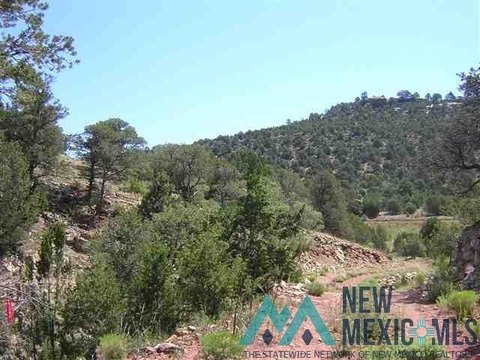 Remote Ranch Land in Los Montoyas