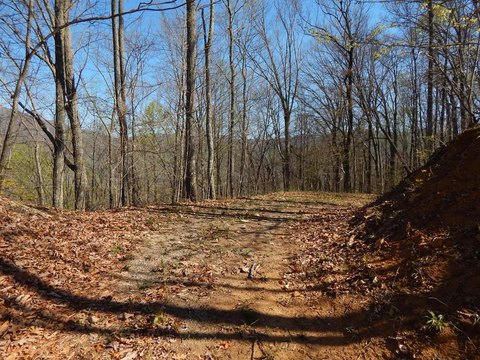 Hayesville Vacant Lot with Views