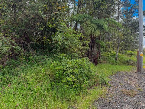 Forested Flag Lot in Lava Zone 3