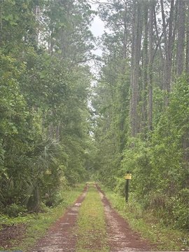 2.5 Acres Vacant Land