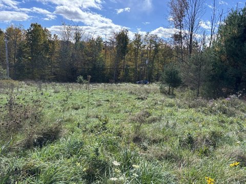 Land, Wellsboro, PA