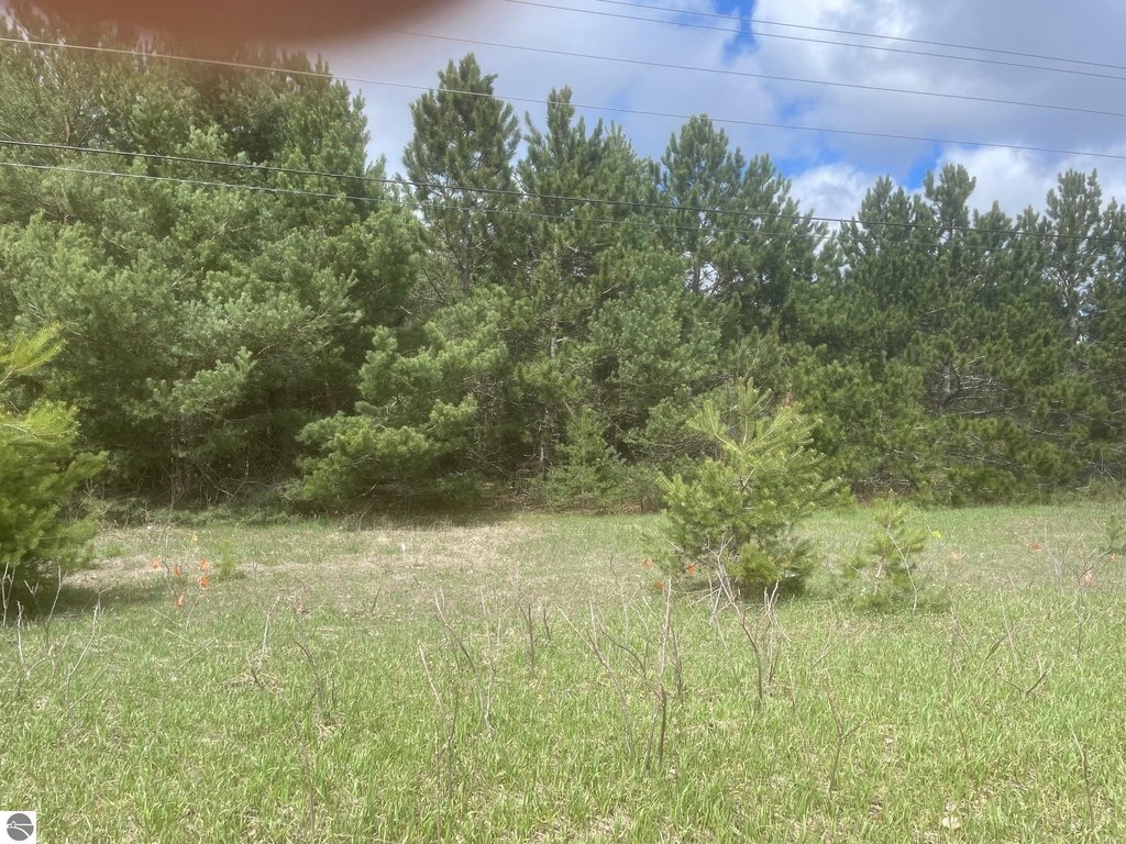 Picture 3