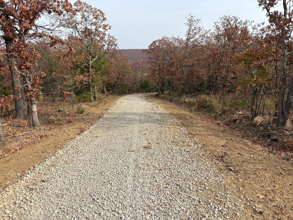 Picture 21