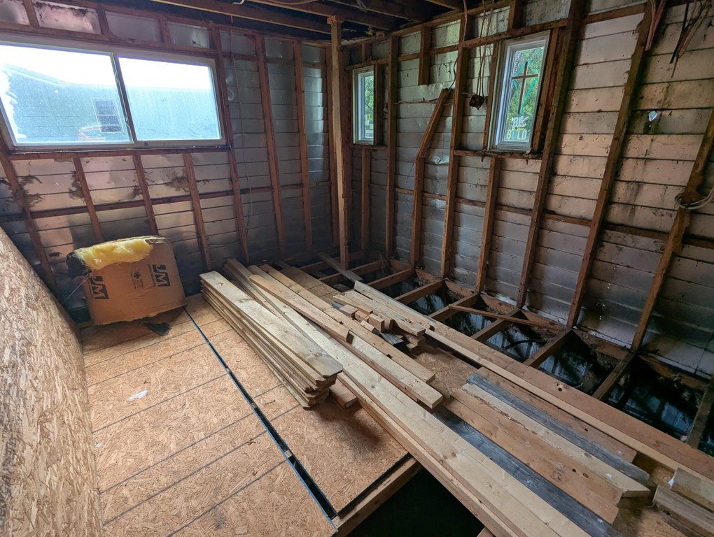Picture 3