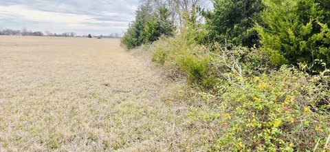 LAND - Pattonville, TX