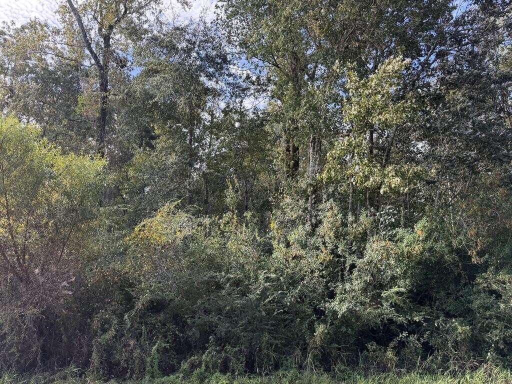 Picture 19
