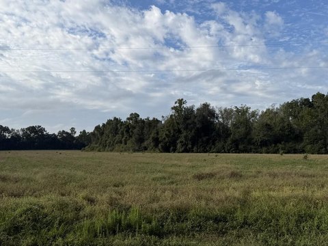 Land, Cottonwood, AL