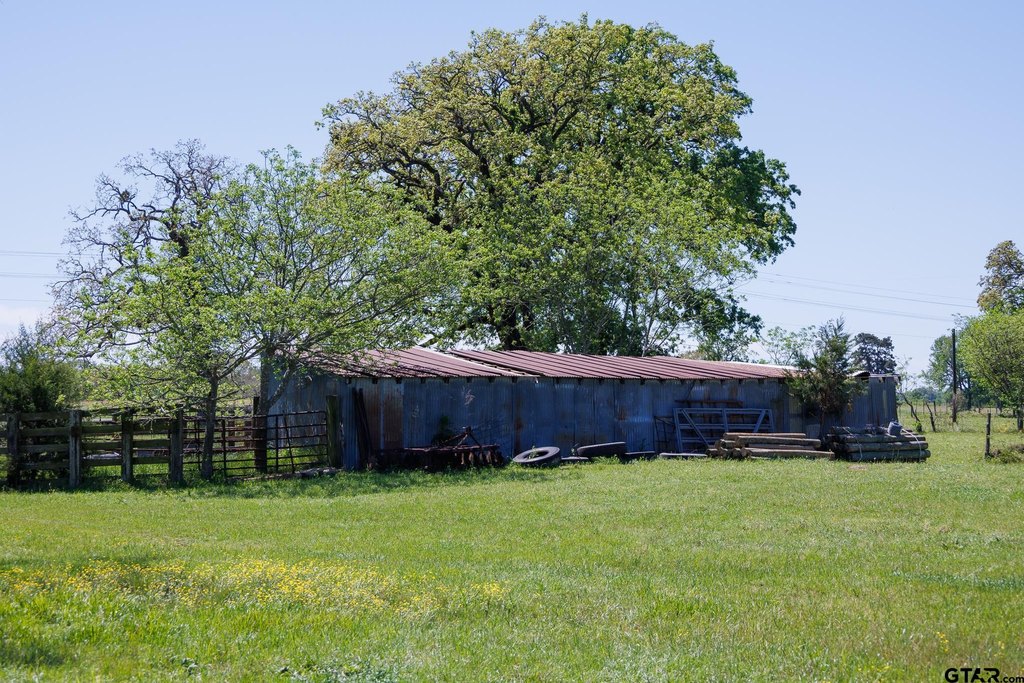Picture 35
