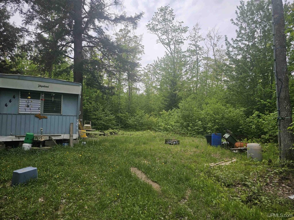 Picture 5