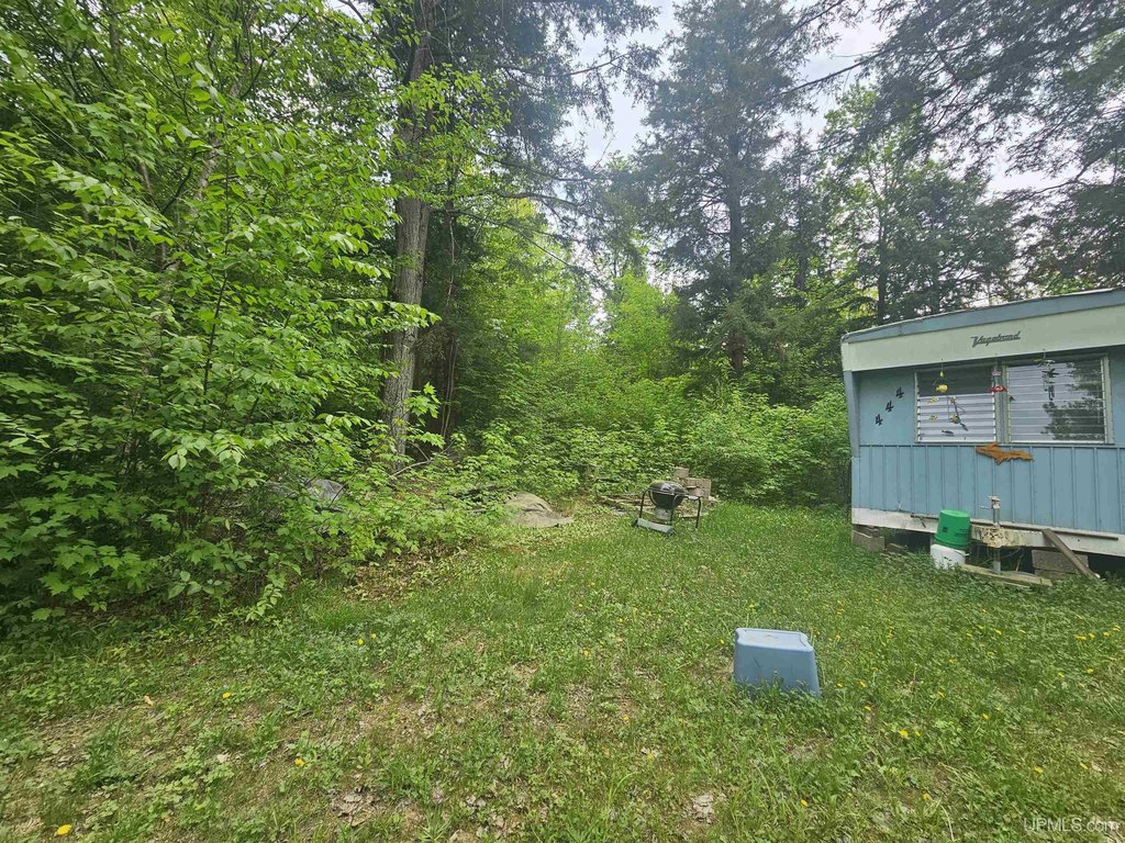 Picture 4