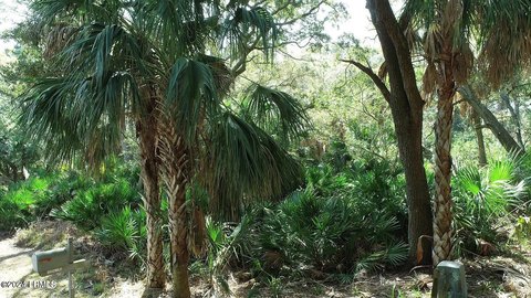 Fripp Island Land Opportunity