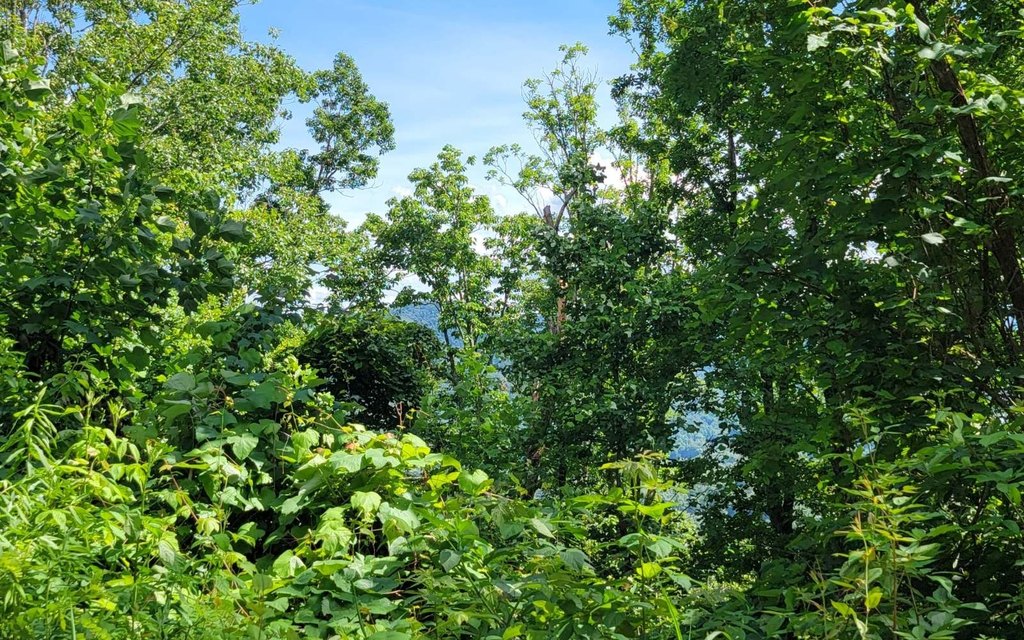 Picture 12