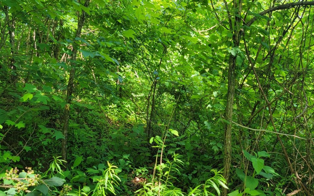 Picture 9