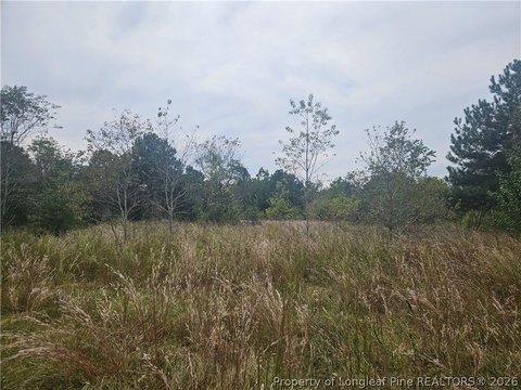 Land, Shannon, NC