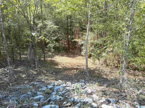 Odenville Acreage: Build Your Dream