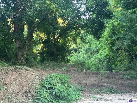 92 Acres of Kentucky Countryside