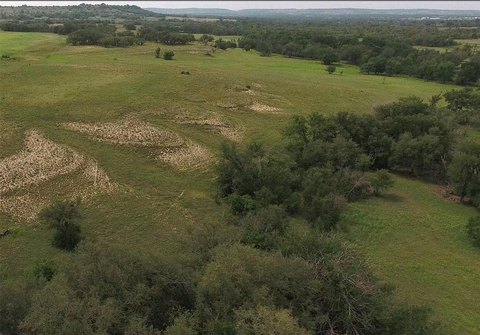 Hunting Land with Spring-Fed Creek