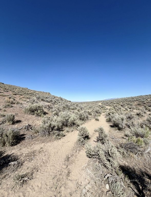 Picture 2