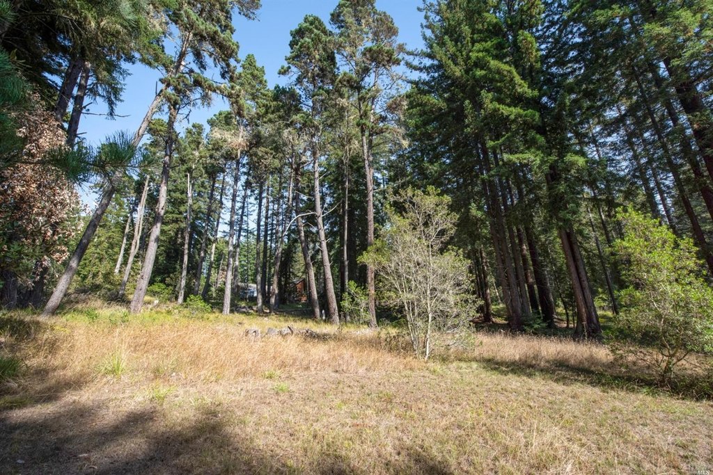 Picture 15