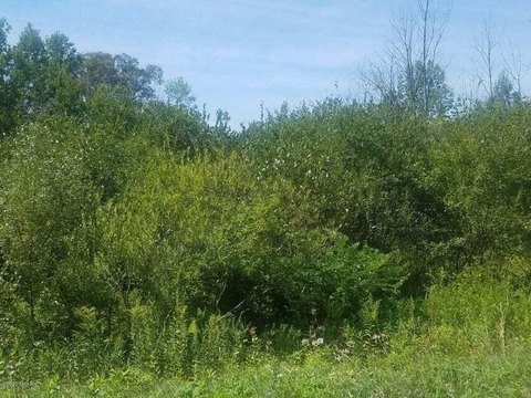 LAND - Rothbury, MI