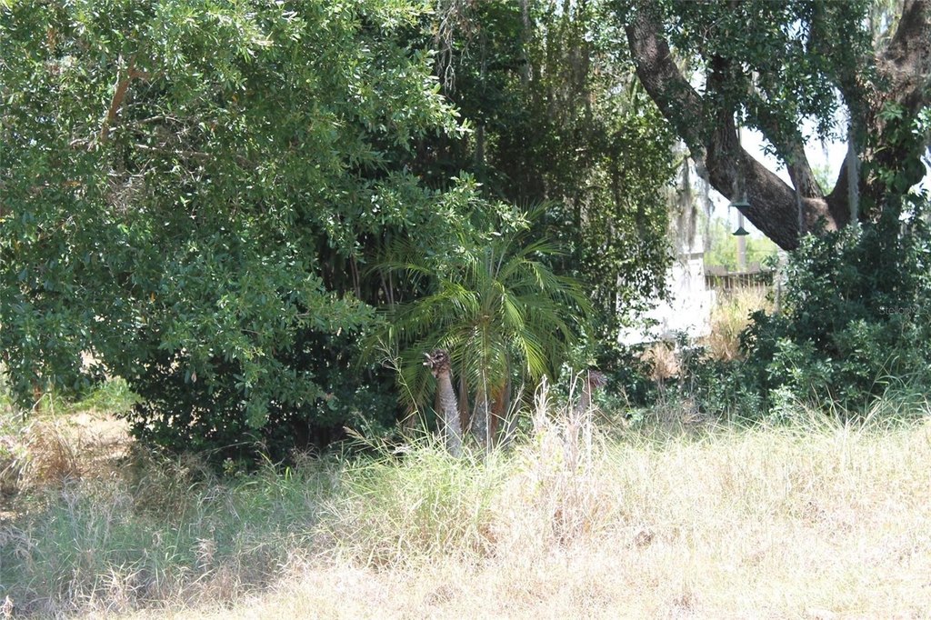 Picture 2