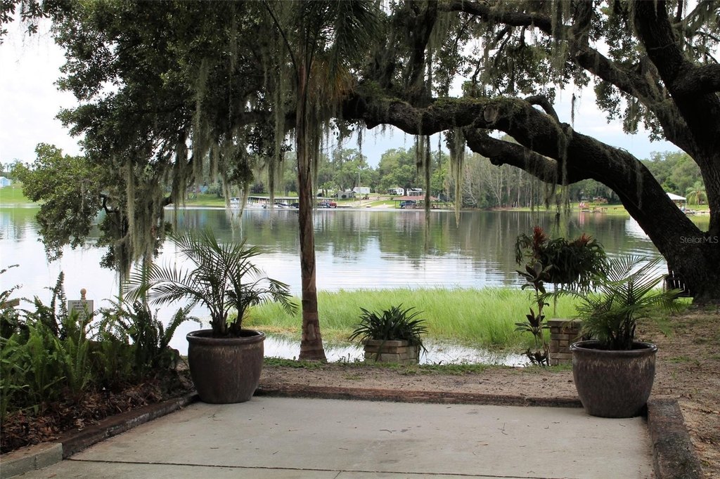 Picture 9