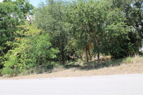 Buildable Residential Lake-Access Lot