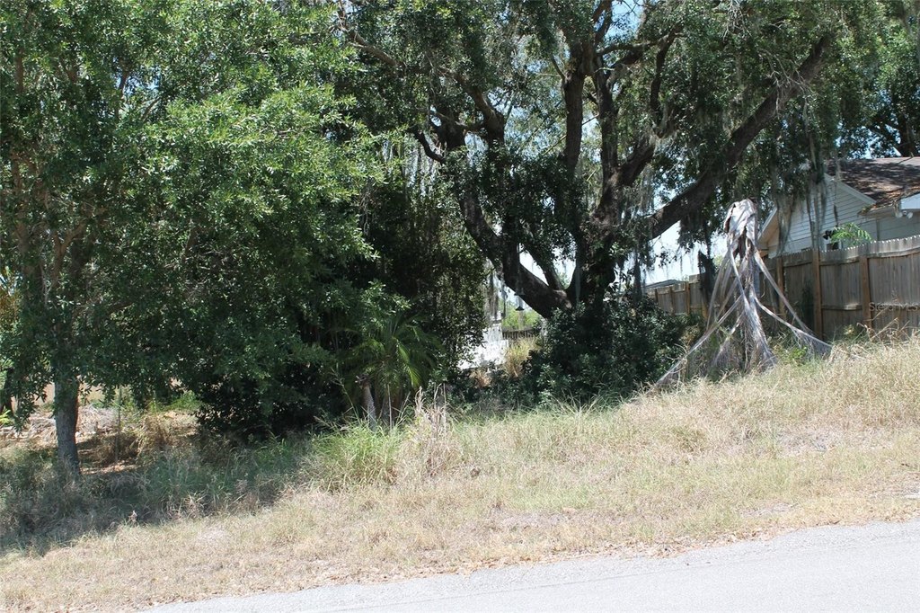 Picture 14