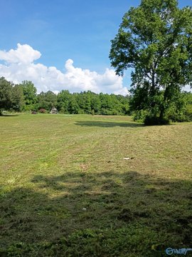 LAND - Arab, AL