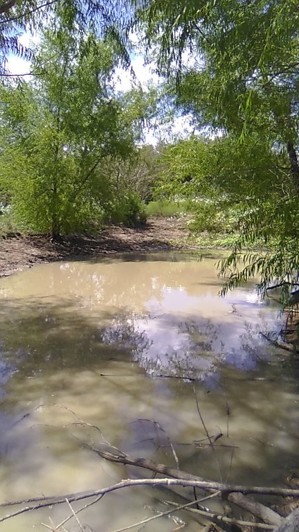Picture 8