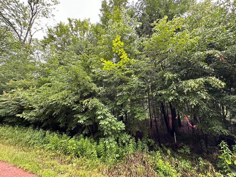 Merrill, WI 11-Acre Land