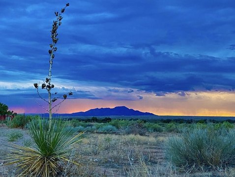 Veguita, NM Land Opportunity
