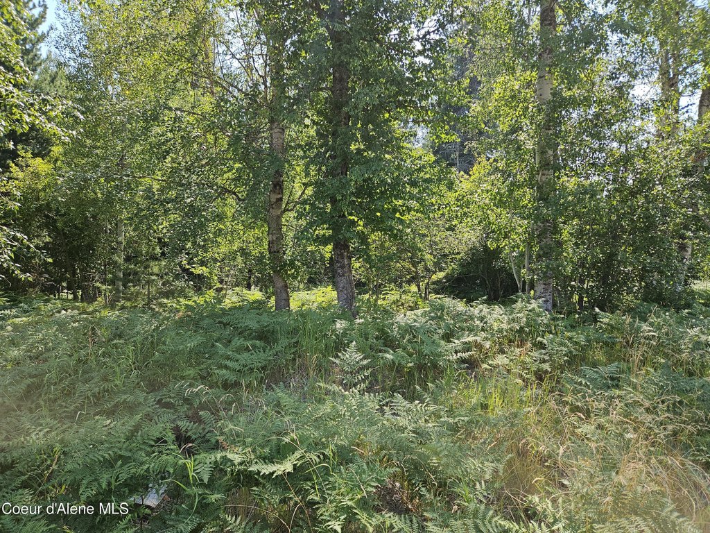 Picture 31