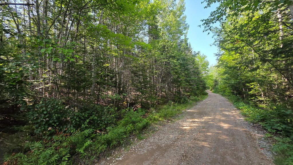 Picture 26